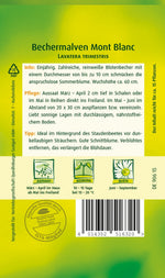 Quedlinburger Bechermalve Mont Blanc, weiß
