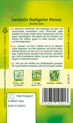 Quedlinburger Zwiebel Stuttgarter Riesen