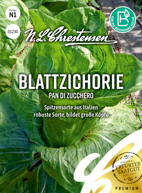 N.L. Chrestensen Blattzichorie Pan di zucchero