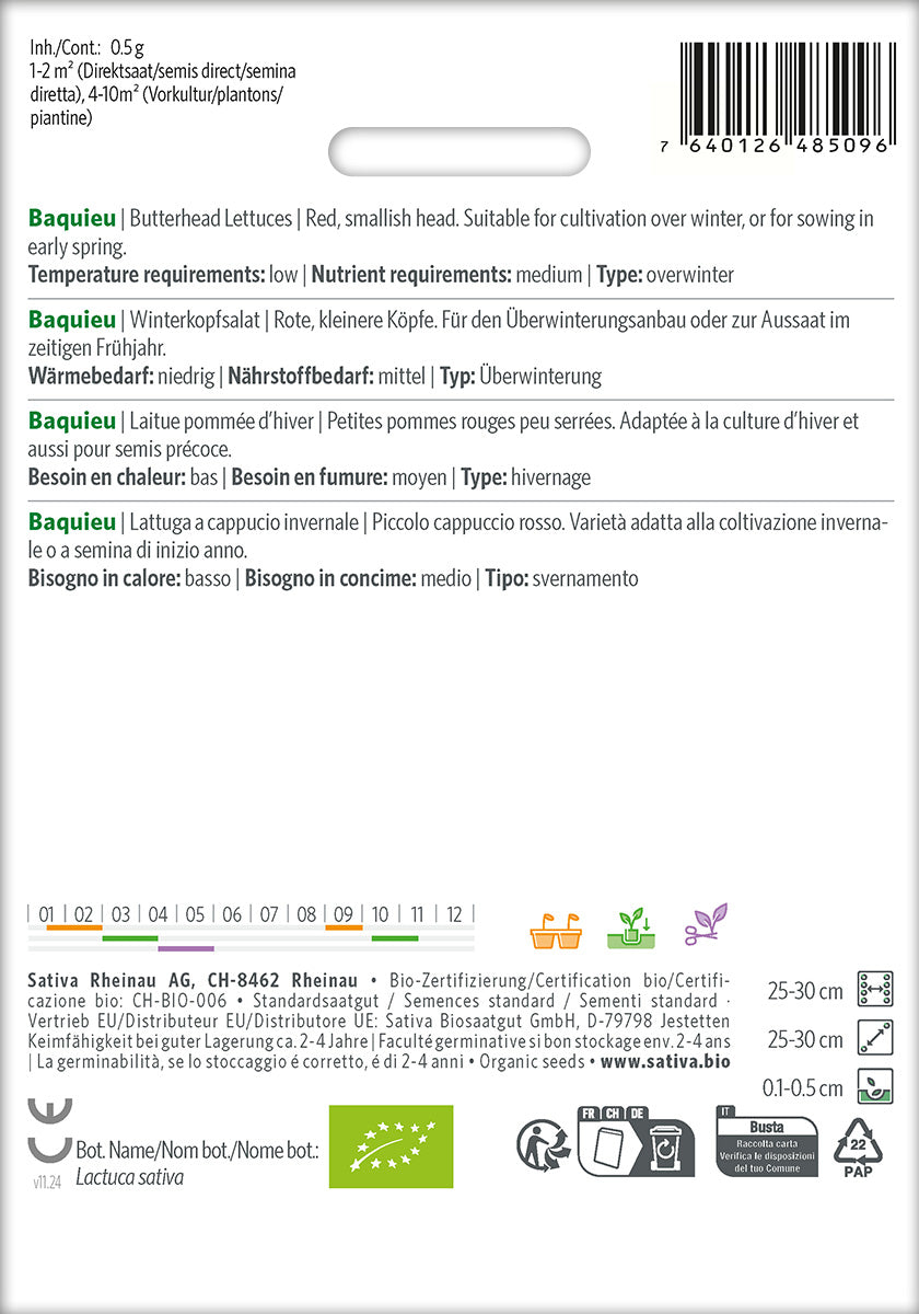 Sativa Winterkopfsalat Baquieu