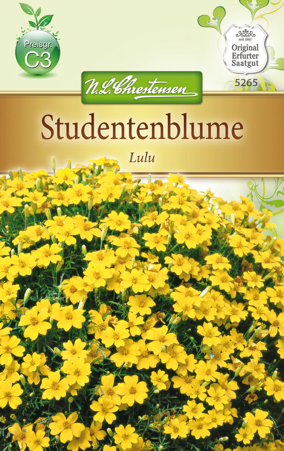 N.L. Chrestensen TagetesLulu, kleinblütig, hellgelb