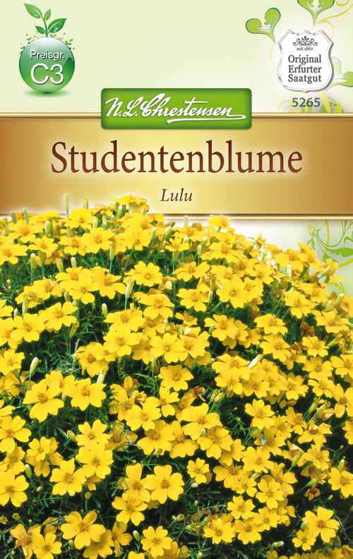 N.L. Chrestensen TagetesLulu, kleinblütig, hellgelb