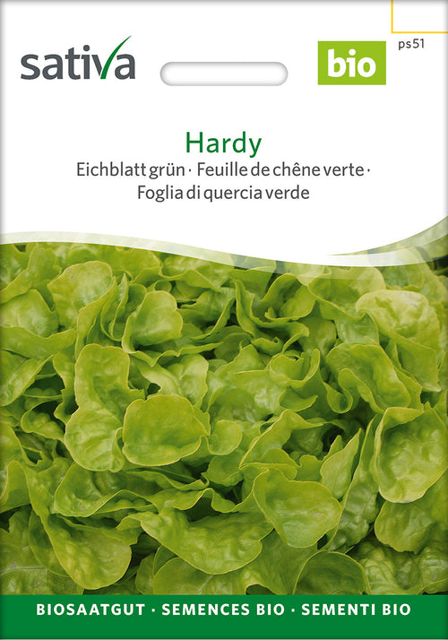 Sativa Eichblatt grün Hardy