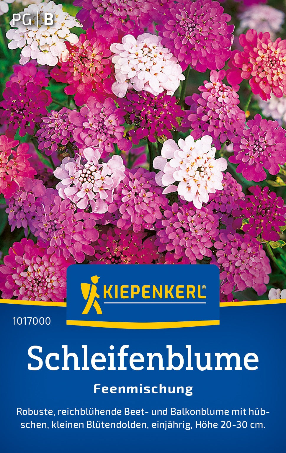 Kiepenkerl Schleifenblumen Feenmischung