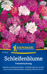 Kiepenkerl Schleifenblumen Feenmischung