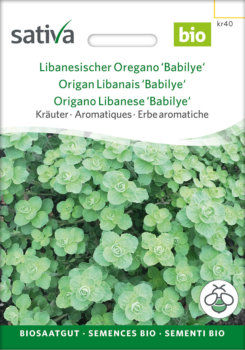 Sativa Libanesischer Oregano Babilye