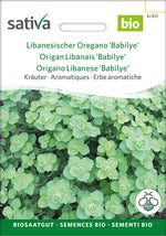 Sativa Libanesischer Oregano Babilye