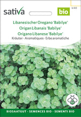 Sativa Libanesischer Oregano Babilye