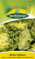 Quedlinburger Kopfendivie Gialla a Cuore pieno