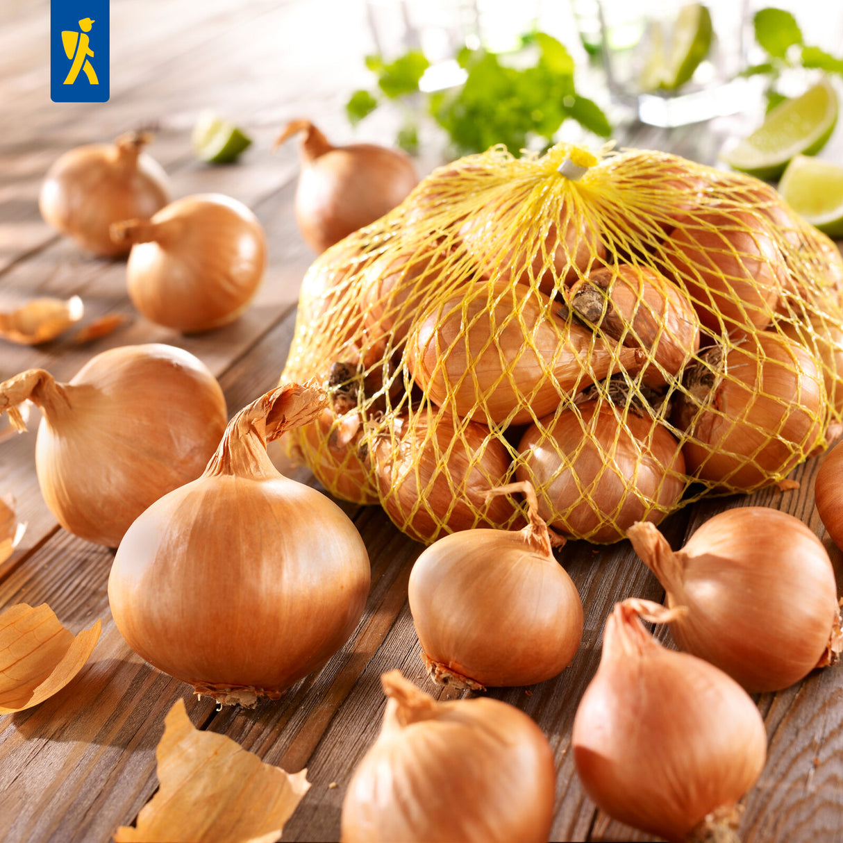 Kiepenkerl Schalotte Golden Gourmet 400 g