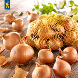 Kiepenkerl Schalotte Golden Gourmet 400 g