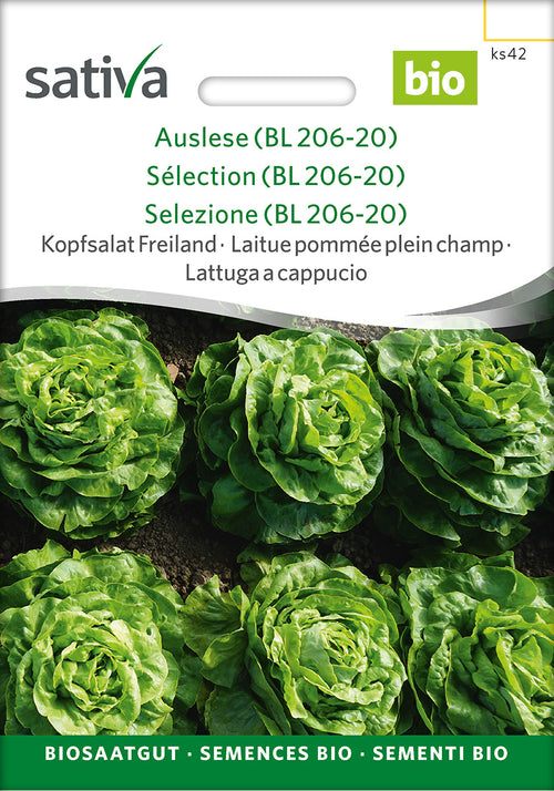 Sativa BIO Kopfsalat Freiland Auslese (BL 206-20)