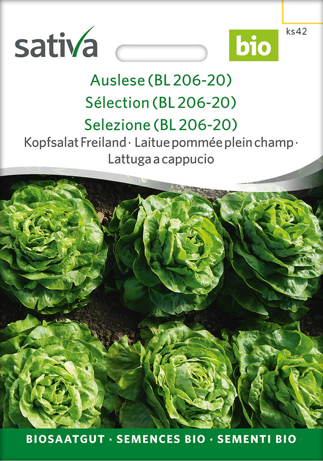 Sativa BIO Kopfsalat Freiland Auslese (BL 206-20)