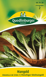 Quedlinburger Mangold Amarilla de Lyon 2