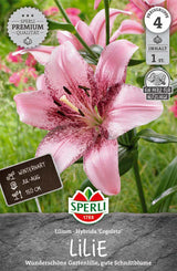 SPERLI Lilie Congoleto