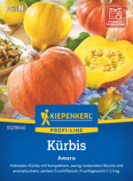 Kiepenkerl Kürbis Amoro