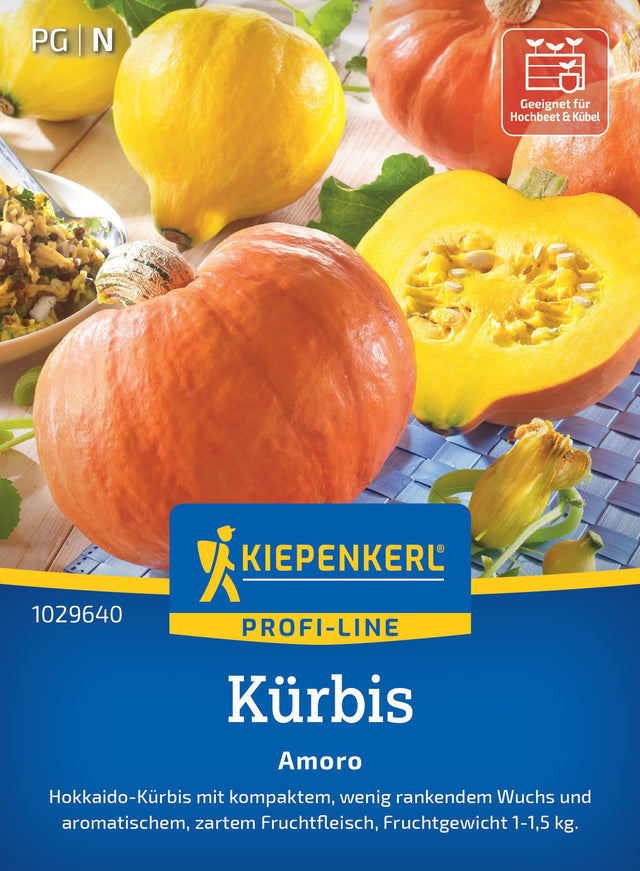 Kiepenkerl Kürbis Amoro