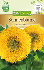 N.L. Chrestensen Sonnenblumen Gefüllte Riesen