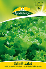 Quedlinburger Pflück-& Schnittsalat verde ricciolina da taglio