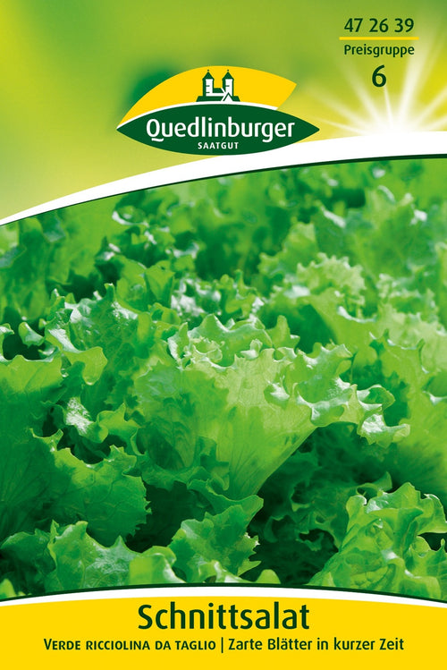 Quedlinburger Pflück-& Schnittsalat verde ricciolina da taglio