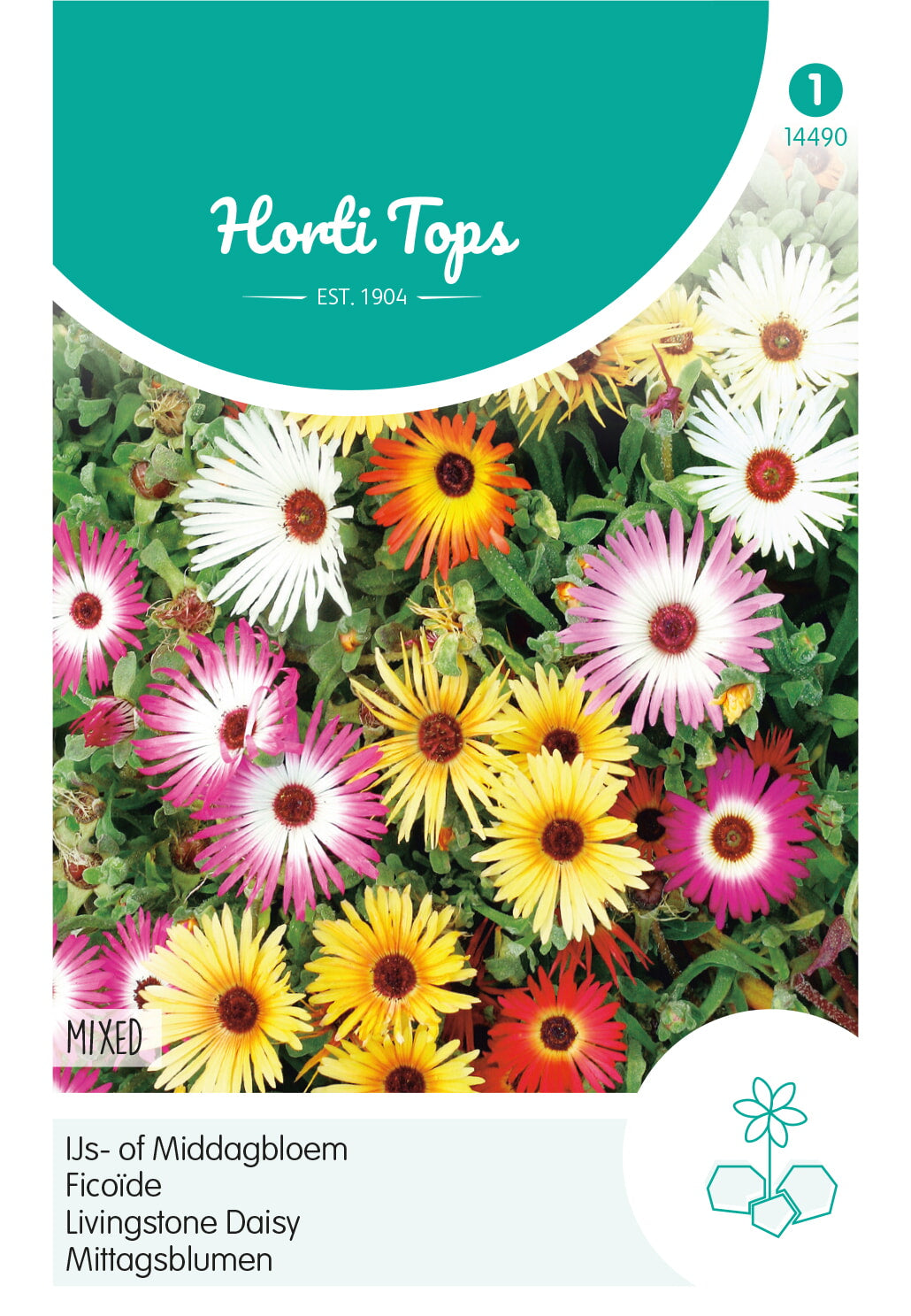 Horti Tops Mittagsblume Dorotheanthus bellidiformis