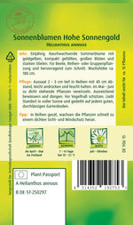 Quedlinburger Sonnenblume Hohe Sonnengold