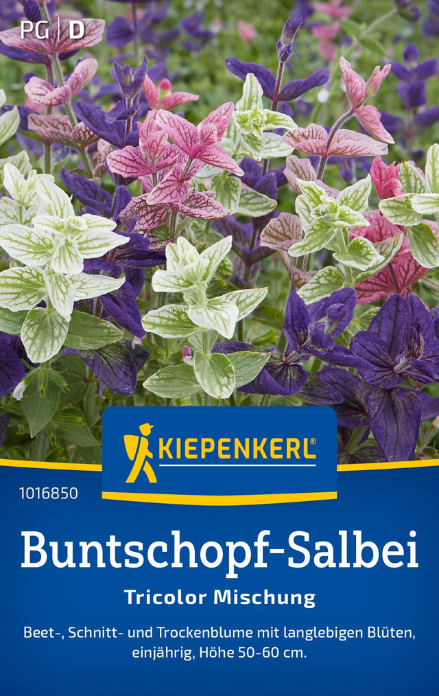 Kiepenkerl Salbei Tricolor Mischung
