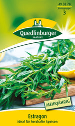 Quedlinburger Estragon  Mehrjährig
