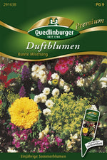 Quedlinburger Duftblumen  Bunte Mischung