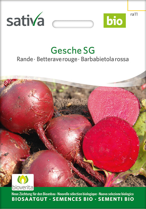 Sativa Rande Gesche SG