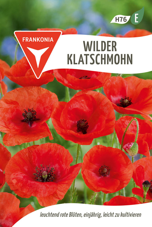 Frankonia Samen Mohn Wilder Klatschmohn