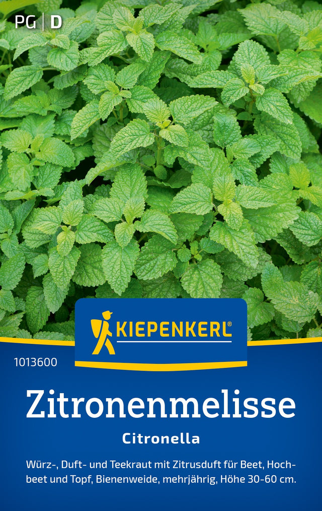 Kiepenkerl Zitronenmelisse Citronella