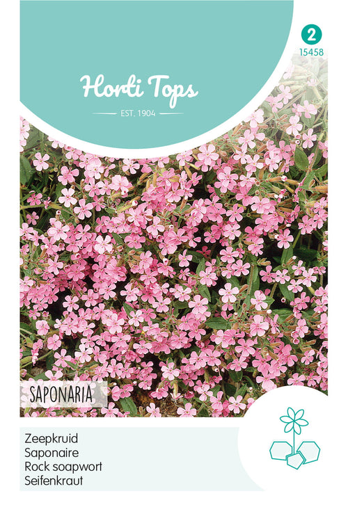 Horti Tops Seifenkraut Ocymoides