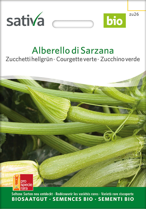 Sativa Zucchetti hellgrün Alberello di Sarzana