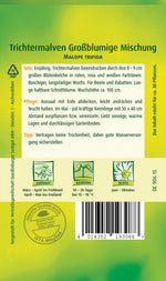 Quedlinburger Trichtermalve grossblumige Mischung