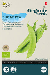 Buzzy Organic Seeds BIO Zuckererbse Norli