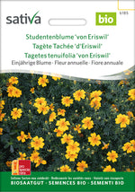 Sativa Studentenblume von Eriswil