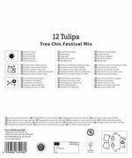 Mega-Pack Lilienblütige Tulpen Tres Chic Mix