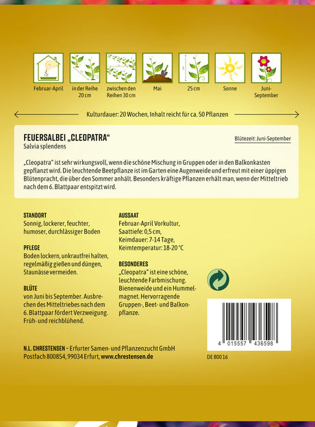 N.L. Chrestensen Feuersalbei Cleopatra