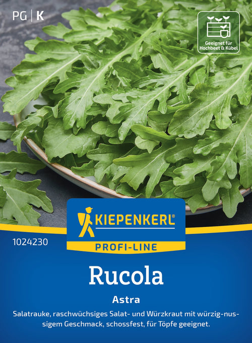 Kiepenkerl Rauke Astra
