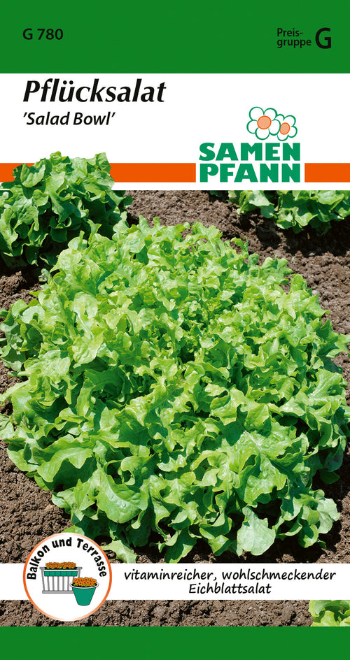 Samen Pfann Pflücksalat Salad Bowl