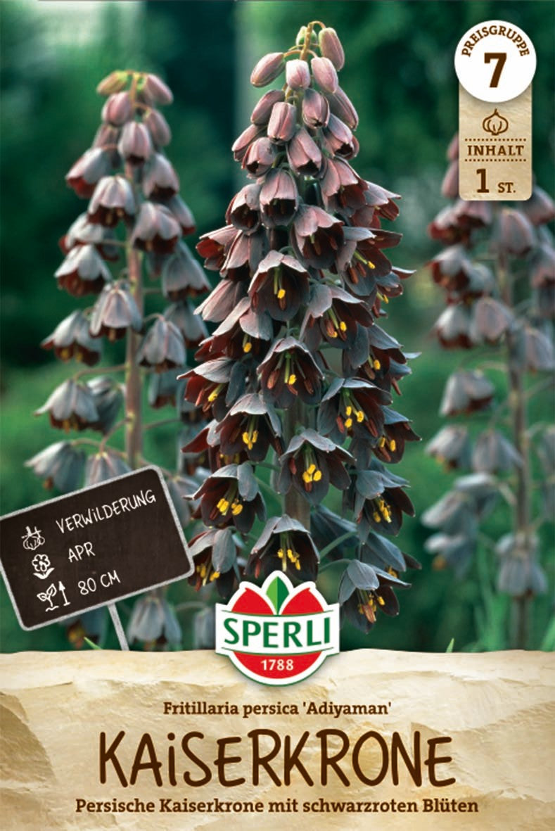 Persische Kaiserkrone Adiyaman