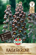 Persische Kaiserkrone Adiyaman