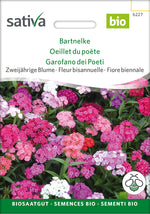 Sativa BIO Bartnelke