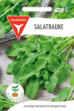 Frankonia Samen Salatrauke Rucola