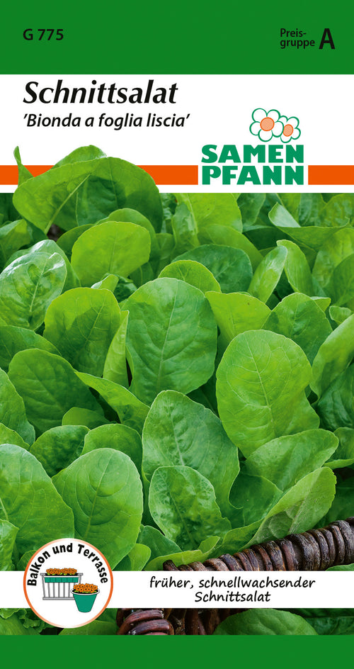 Samen Pfann Schnittsalat Bionda a foglia liscia