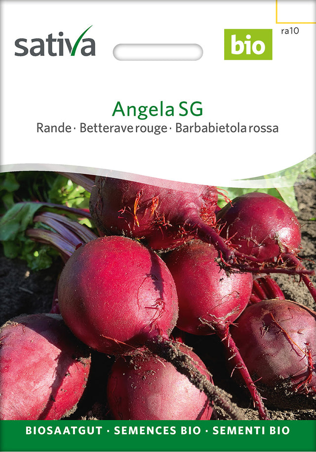 Sativa Rande Angela SG
