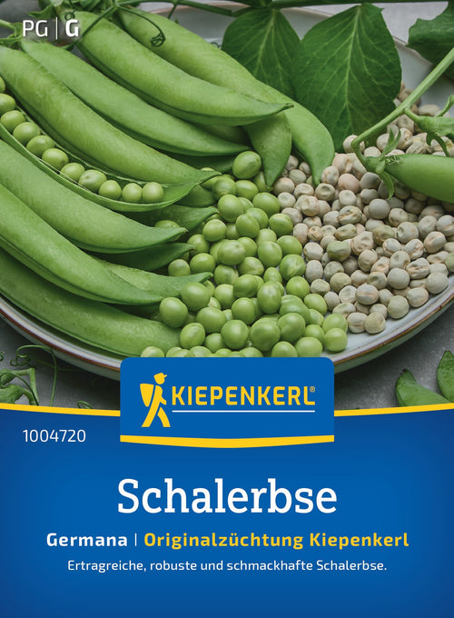 Kiepenkerl Schalerbse Germana