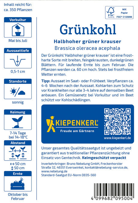 Kiepenkerl Grünkohl Halbhoher grüner krauser