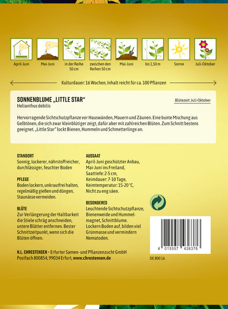 N.L. Chrestensen Sonnenblume Little Star